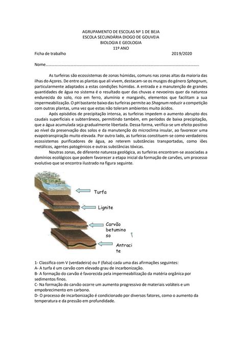 Solution Ficha De Exerc Cios Geologia Ano Studypool