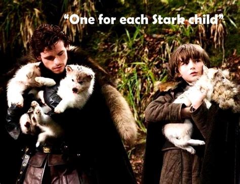 What You Need to Know about Game of Thrones Direwolves?