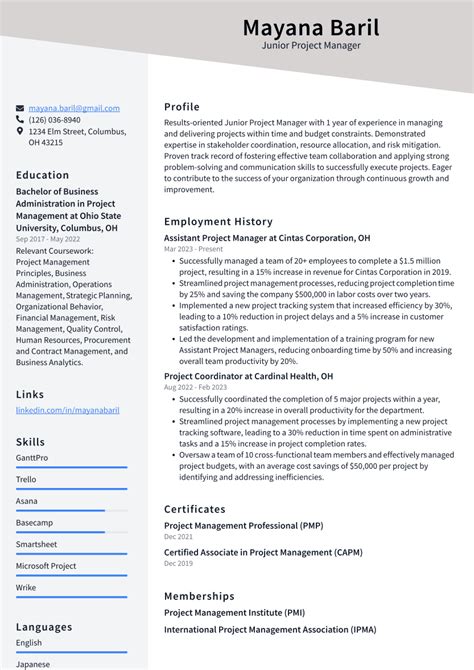 12 Junior Project Manager Skills Definition And Examples