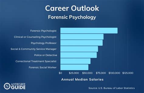 What Can You Do With A Masters In Forensic Psychology 2025 Guide