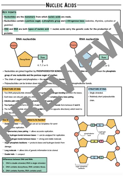 Condensed Revision Notes AQA A Level Biology Biological Molecules