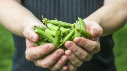 Acide Urique Lev Aliments Viter Femme Actuelle Le Mag