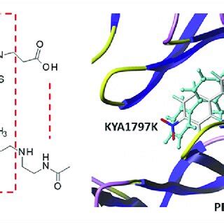 A Superimposed Model Of KYA1797K And BMS 202 Bound To PD L1 Dimer The