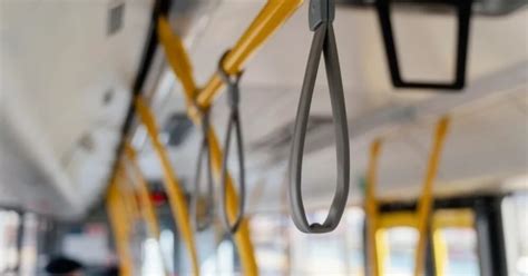 Из Петербурга в Мариуполь отправился первый автобус - Новости Mail