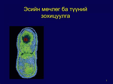 General mechanism of eukaryotic cell cycle | PPT