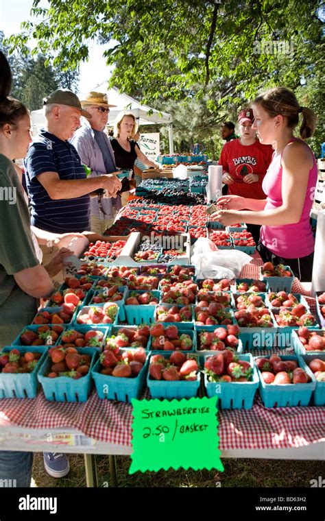 Many Varieties Of Berries At Farmers Market In Bend Oregon Stock Photo