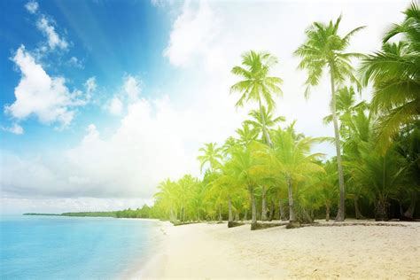 Real Nature Wallpapers Top Free Real Nature Backgrounds Wallpaperaccess