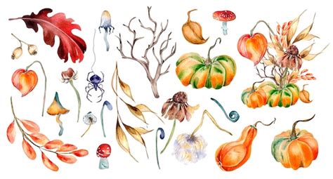 Premium Photo Clipart Of Halloween Colorful Plants Watercolor Illustration Isolated On White