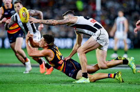 Collingwood Magpies Vs Adelaide Crows Betting Props AFL Round 15 Odds