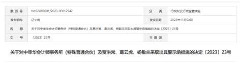 又有中介机构遭警示 中审华所及相关责任人因远大智能年报审计未勤勉尽责被出具警示函手机新浪网