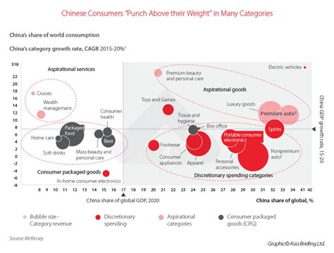 China Consumer Trends 2024 - Ronni Cindelyn