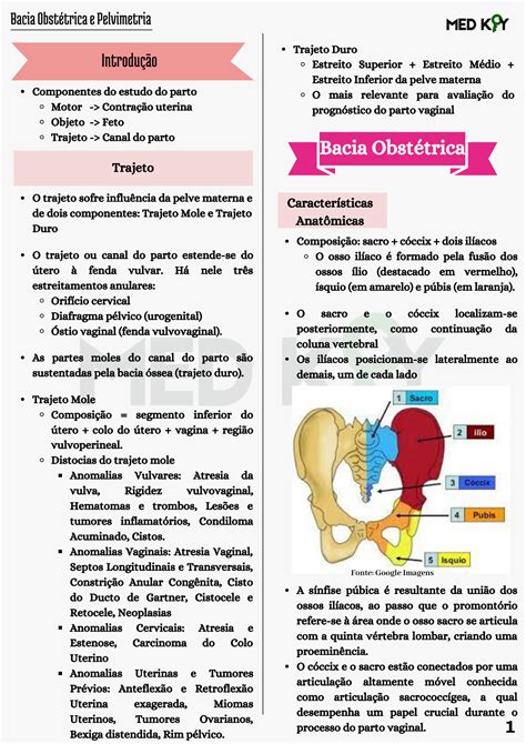 Solution Bacia Obst Trica E Pelvimetria Studypool