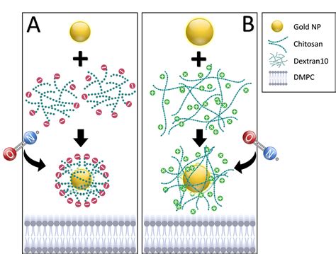 Sanjais Paper On Changed Surface Properties Of Artificial Lipid