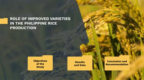 Role Of Improved Varieties In The Philippine Rice Production By Janelle