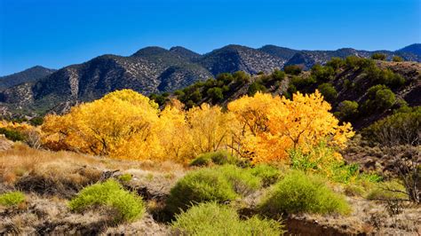 Best Fall Foliage Road Trips In The Usa