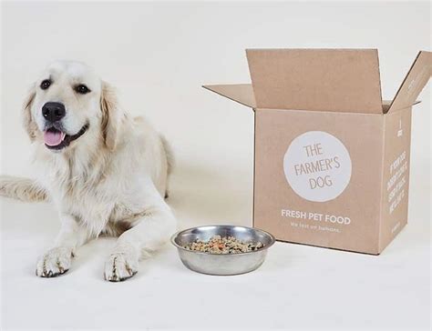 Ollie vs The Farmer's Dog: Comparing the Best Fresh Dog Food - Fin vs Fin