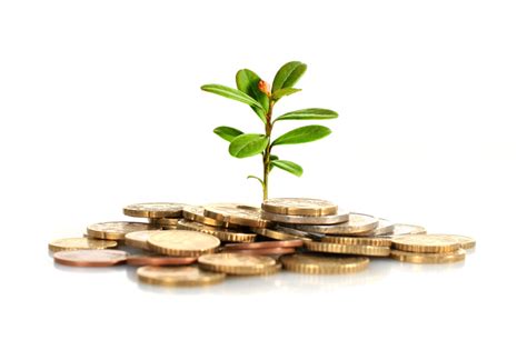 fisy fonds dinvestissement financement en capital