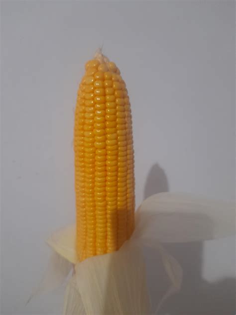 Raw corn : r/corn