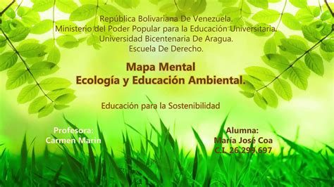 MAPA MENTAL ECOLOGÍA Y EDUCACIÓN AMBIENTAL PPT