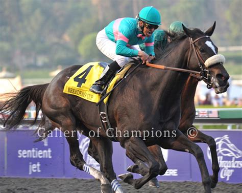 Zenyatta 2009 Breeders' Cup Classic Photo 5 - Etsy