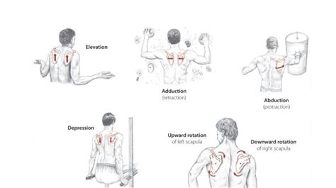 How To Fix Winged Scapula SportsCare PT