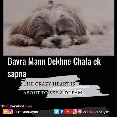 Bavra Mann Dekhne Chala Ek Sapna LYRICS - English translation & Meaning ...