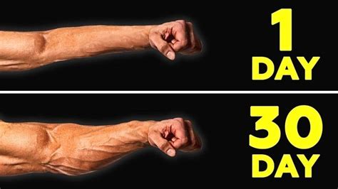 Bigger Forearms Workout With Dumbbells