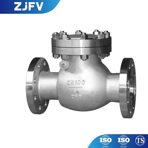 Pn64 DN100 Stainless Steel Flange End Swing Check Valve China Non