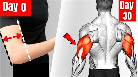 5 Best Exercise For Triceps 5 Minute Exercise To Get Bigger Triceps