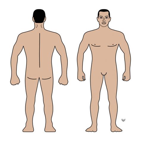 Naked Standing Man Stock Vector Image By Arlatis 6884979
