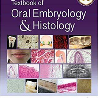 Chapter 9 Periodontal Ligament Text Book Of Oral Embryology And