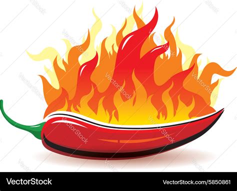 Red Hot Chilli Pepper With Fire On White Ba Vector Image