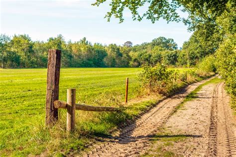 Sandy Path Between The Pasture And The Edge Of The Forest Stock Image