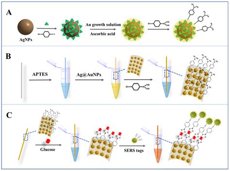 Molecules Free Full Text Ag Aunp Functionalized Capillary Based Sers Sensing Platform For