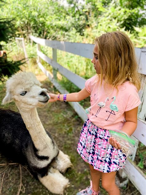 Fun Places to See Animals in the Des Moines Area - Des Moines Parent