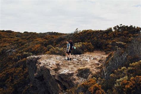 Top 5 Beach Walking Tracks In Australia See The Beaches