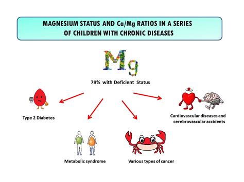 Nutrients Free Full Text Magnesium Status And Camg Ratios In A