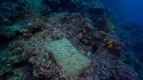 Ancient Copper Ingots From Oldest Shipwreck In The World