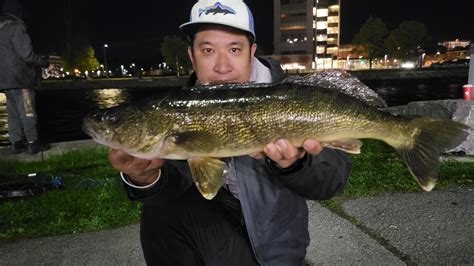 Zone 20 Walleye Opener Rfishingontario