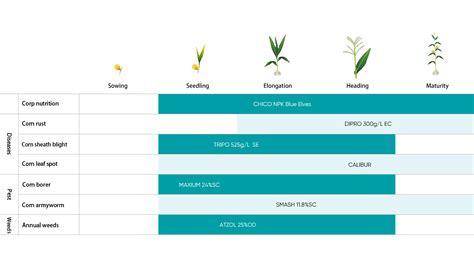 Fertilizerinsecticidefungicideherbicide For Corn Plant Chico®