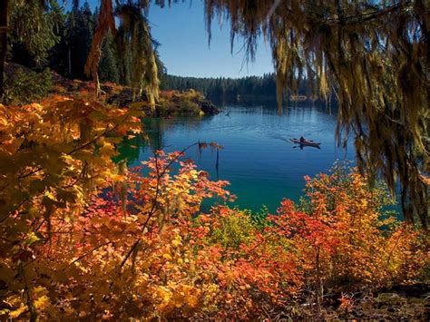 Oregon fall Foliage | Oregon Fall Foliage Weekly Update 10/12/2013 Oregon Falls, Bird Migration ...