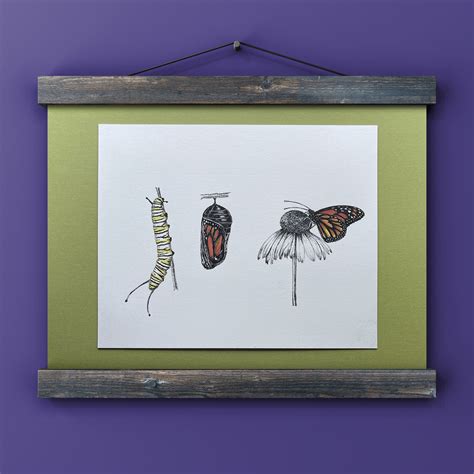 Monarch Life Cycle - Etsy