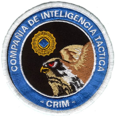 Centro Reunión Inteligencia Militar Crim Compañía De Inteligencia Táctica Medidas