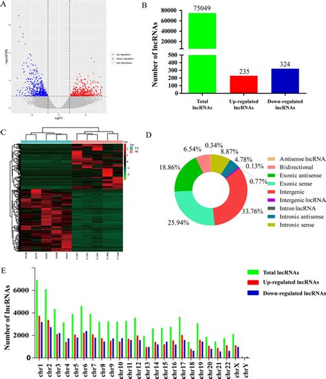 Lncrna Expression Profile Of Lncrnas In Nsclc Tissues A The Volcano