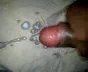 My Cummm Free Solo Man Porn Video Db XHamster