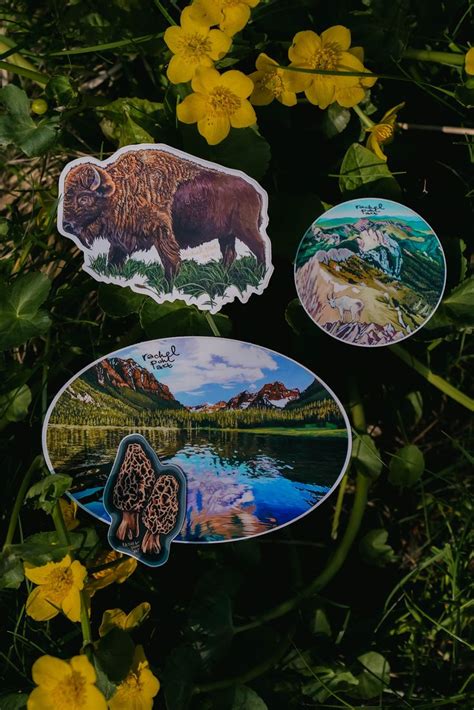 Greater Yellowstone Ecosystem Sticker Pack Ecosystems Yellowstone