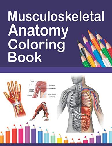 Musculoskeletal Anatomy Coloring Book By Publication Sambaumniel Abebooks