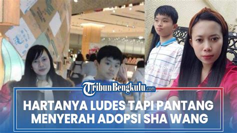 Hartanya Ludes Tapi Pantang Menyerah Adopsi Sha Wang Siti Tki Lakukan