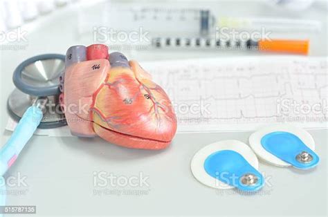 Heart 모델 및 심전도 Stem 주제에 대한 스톡 사진 및 기타 이미지 Stem 주제 건강관리와 의술 그래프 Istock