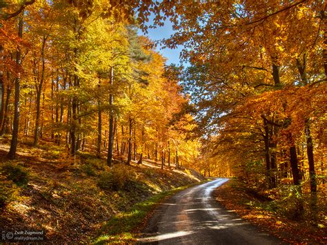 Autumn journey pt.XI. by realityDream on DeviantArt